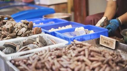 煙臺開海首日！凌晨碼頭沸騰，生猛海鮮批量上岸直供市民餐桌